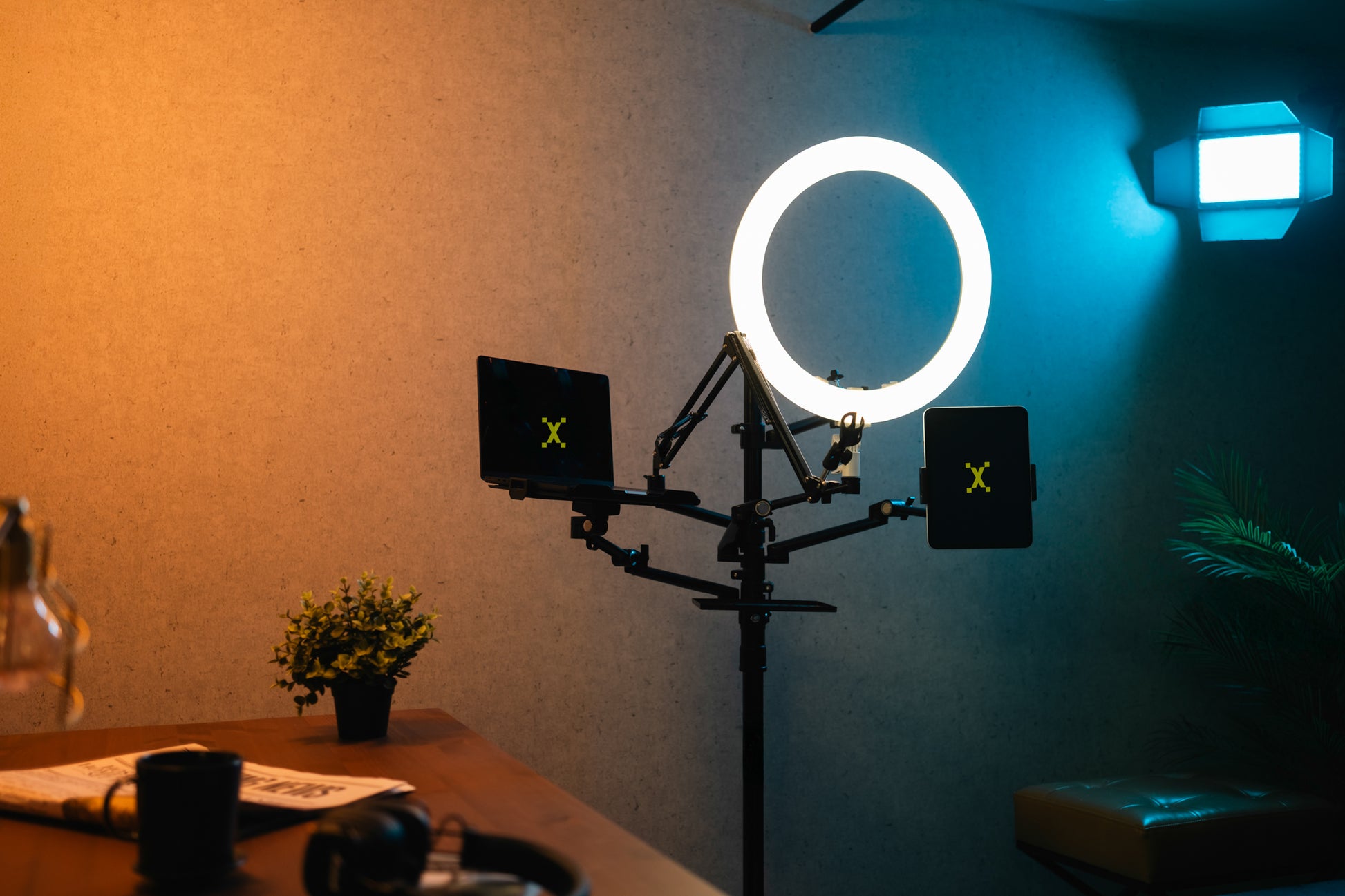 Studio D: The Cozy Room