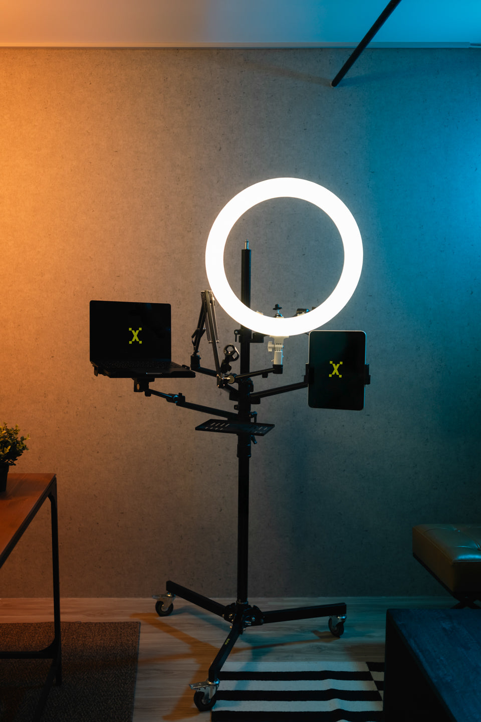 Studio D: The Cozy Room